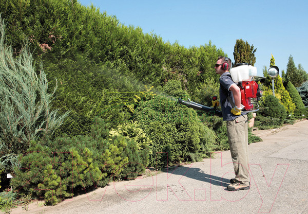 Изображение товара Опрыскиватель бензиновый Efco AT 800 (365280031E1C)