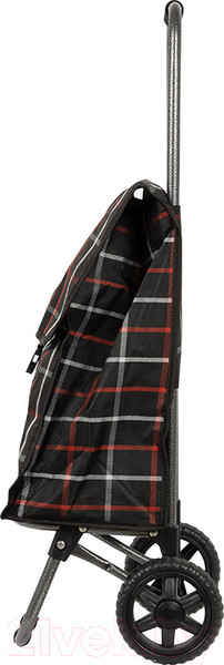 Изображение товара Сумка-тележка Рыжий кот D203ECO