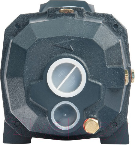 Изображение товара Поверхностный насос Unipump DP 750