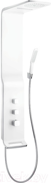 Изображение товара Душевая панель Hansgrohe Raindance Lift 27008400