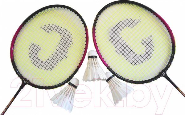 Изображение товара Набор для бадминтона Gold Cup 3208