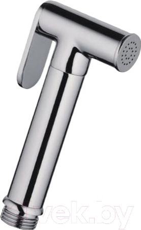 Изображение товара Лейка гигиенического душа Frap F21