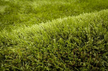 Изображение товара Ковер Devos Caby Maui (200x290, зеленый)