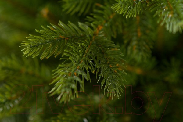 Изображение товара Ель искусственная GreenTerra Аляска темная (2.2м)