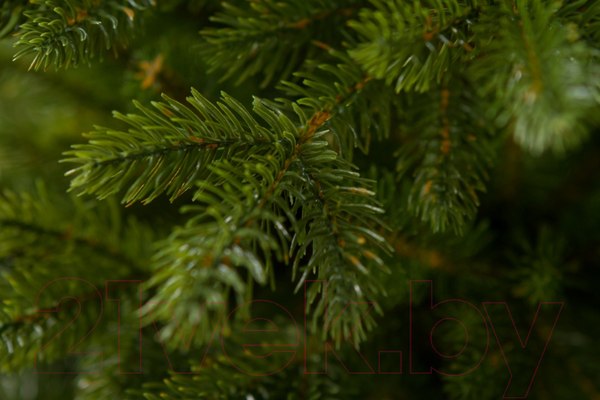 Изображение товара Ель искусственная GreenTerra Аляска темная (2.2м)