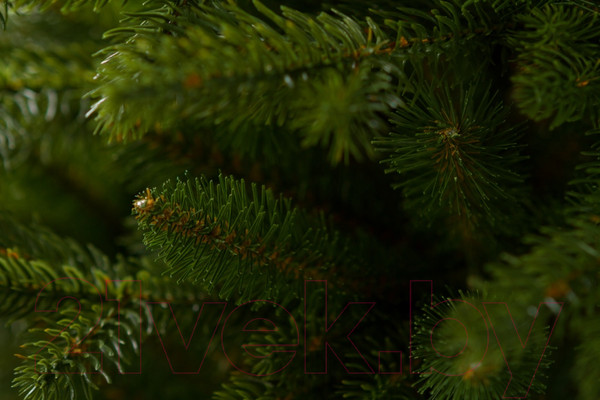 Изображение товара Ель искусственная GreenTerra Аляска темная (2.2м)