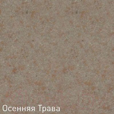 Изображение товара Мойка кухонная Zigmund & Shtain Rechteck 780 (осенняя трава)