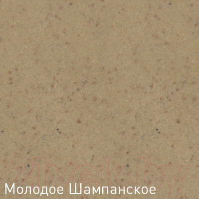 Изображение товара Мойка кухонная Zigmund & Shtain Rechteck 400.275 (молодое шампанское)