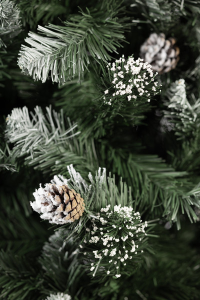 Изображение товара Сосна искусственная Maxy Poland Жемчужина серебро (1.8м)