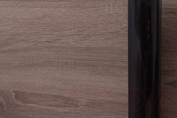 Изображение товара Шкаф-купе Евва 24 TTG.02 / АЭП ШК.3 01 (трюфель/венге глянец)