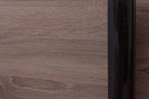 Изображение товара Шкаф-купе Евва 18 TTG.01 / АЭП ШК.3 03 (трюфель/венге глянец)