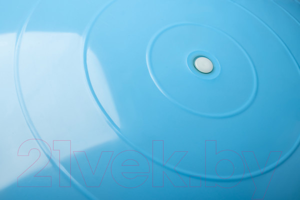 Изображение товара Фитбол гладкий Sundays Fitness IR97402-75 (голубой)