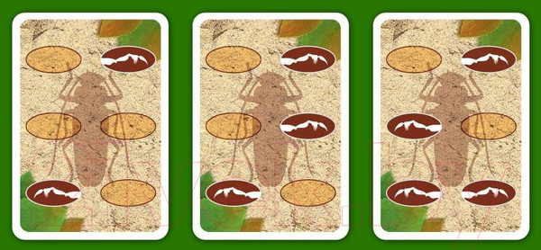 Изображение товара Настольная игра Правильные Игры Гонки жуков 33-01-01