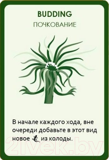 Изображение товара Настольная игра Правильные Игры Эволюция. Случайные мутации 13-01-05