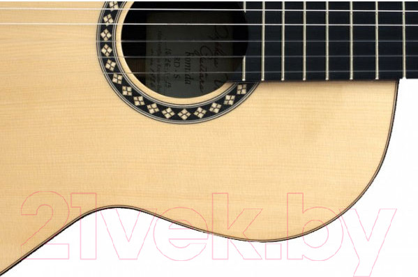 Изображение товара Акустическая гитара Kremona RD-S