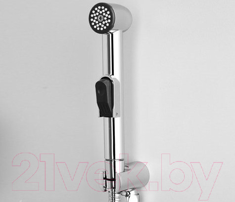 Изображение товара Лейка гигиенического душа Wasserkraft A043