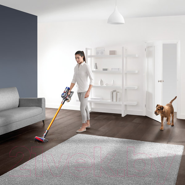 Изображение товара Вертикальный пылесос Dyson V8 Absolute