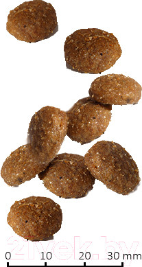 Изображение товара Сухой ветеринарный корм для собак Farmina Vet Life Struvite Management (2кг)