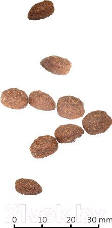 Изображение товара Сухой корм для кошек Farmina N&D Low Grain Chicken & Pomegranate Adult (0.3кг)