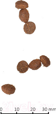 Изображение товара Сухой корм для кошек Farmina N&D Low Grain Lamb & Blueberry Adult (1.5кг)