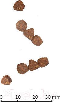 Изображение товара Сухой корм для кошек Farmina N&D Grain Free Chicken & Pomegranate Kitten (1.5кг)