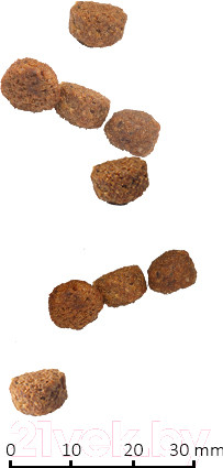 Изображение товара Сухой корм для кошек Farmina N&D Grain Free Cat Chicken & Pomegranate Neutered (5кг)