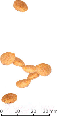 Изображение товара Сухой ветеринарный корм для кошек Farmina Vet Life Renal (5кг)