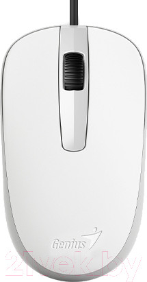 Изображение товара Мышь Genius DX-120 (белый)