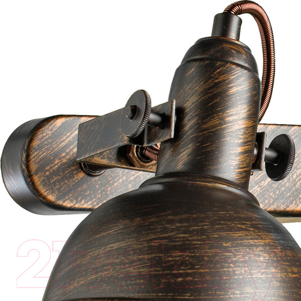 Изображение товара Спот Arte Lamp Martin A5213AP-2BR