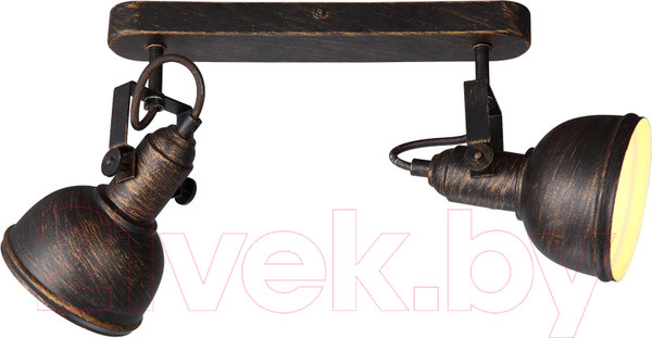 Изображение товара Спот Arte Lamp Martin A5213AP-2BR