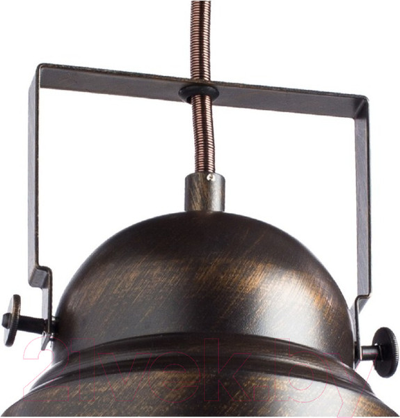 Изображение товара Потолочный светильник Arte Lamp Martin A5213SP-1BR