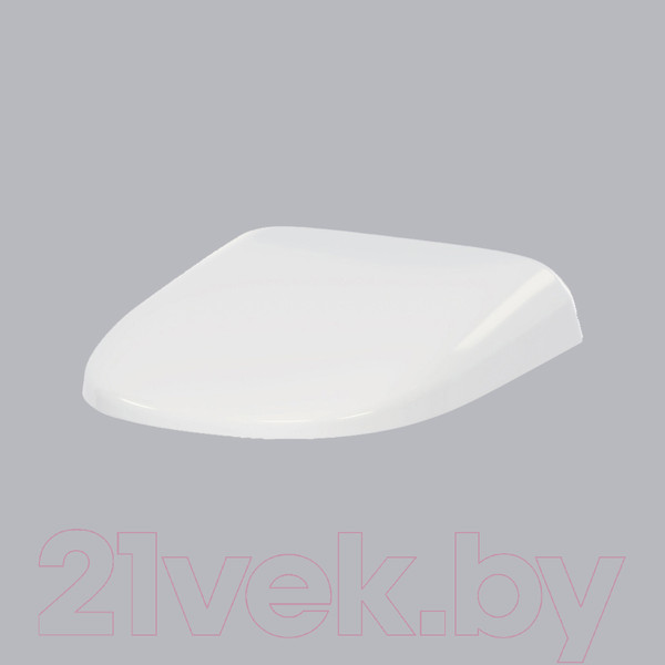 Изображение товара Сиденье для унитаза AM.PM Sensation C307851WH