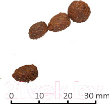 Изображение товара Сухой корм для кошек Farmina N&D Grain Free Cat Boar & Apple Adult (1.5кг)