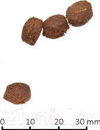 Изображение товара Сухой корм для кошек Farmina N&D Grain Free Cat Lamb & Blueberry Adult (1.5кг)