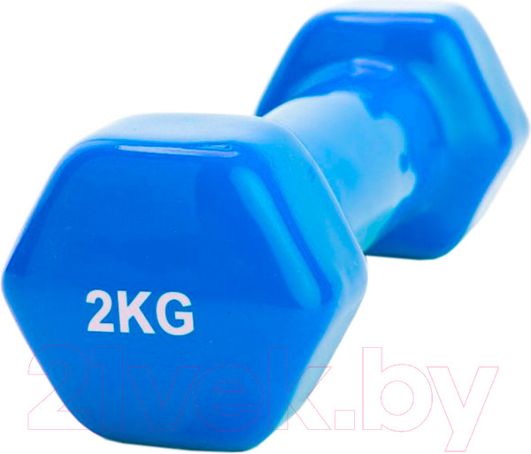 Изображение товара Гантель Bradex SF 0162 (2кг, синий)