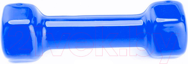 Изображение товара Гантель Bradex SF 0162 (2кг, синий)