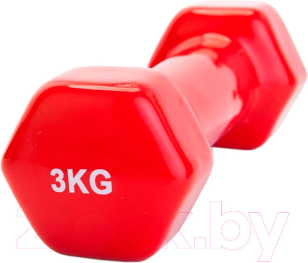 Изображение товара Гантель Bradex SF 0163 (3кг, красный)