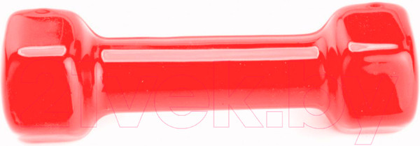 Изображение товара Гантель Bradex SF 0163 (3кг, красный)