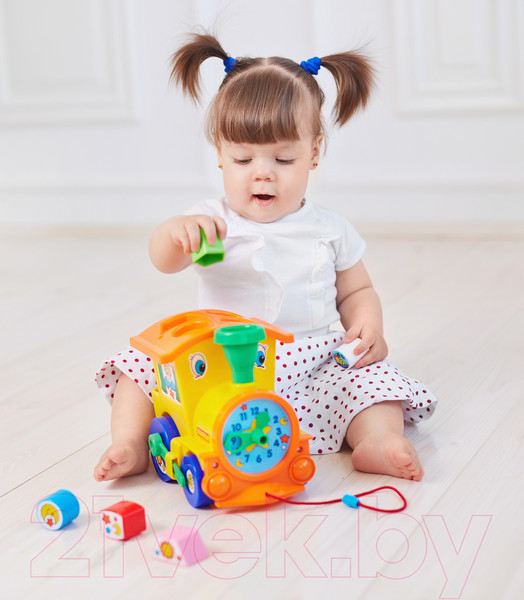 Изображение товара Сортер Полесье Занимательный паровоз / 6189 (в сеточке)