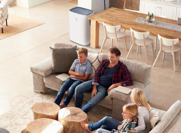 Изображение товара Мобильный кондиционер Electrolux EACM-11 CL/N3