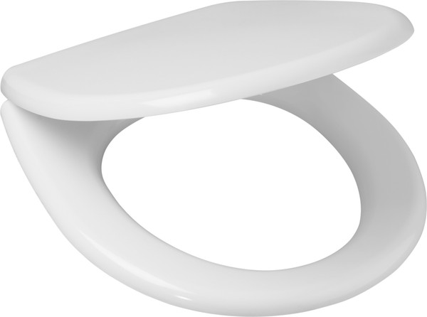 Изображение товара Сиденье для унитаза Roca Mateo ZRU9302822