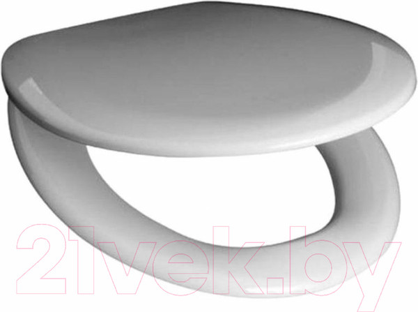 Изображение товара Сиденье для унитаза Roca Mateo ZRU9302822