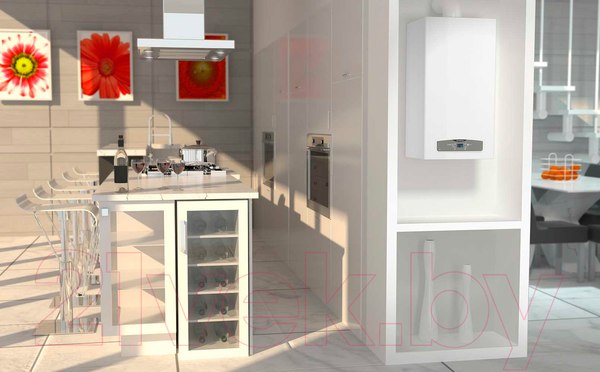 Изображение товара Газовый котел Ariston Cares X 24 CF NG / 3300888