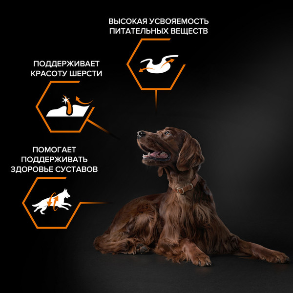 Изображение товара Сухой корм для собак Pro Plan Adult Large Athletic с курицей (14кг)