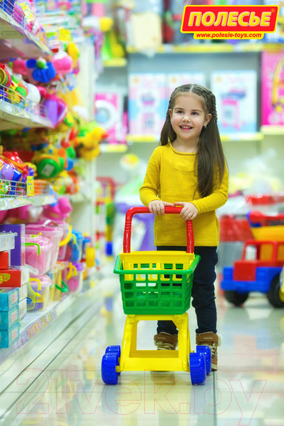 Изображение товара Тележка игрушечная Полесье №7 с набором продуктов / 61911 (оранжевый/салатовый)