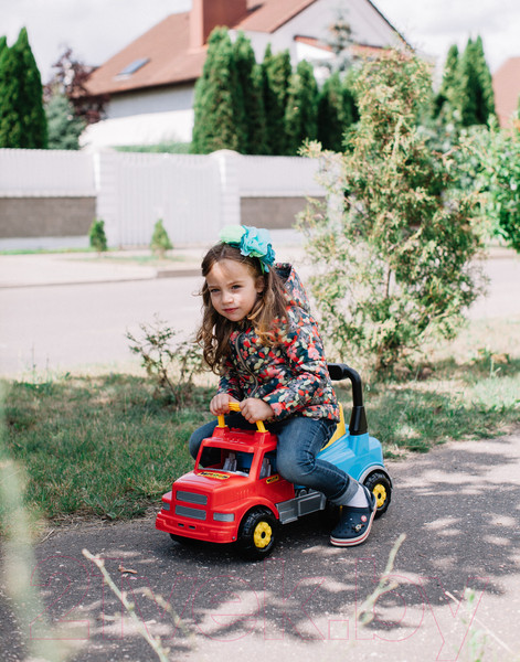 Изображение товара Каталка детская Полесье Буран №2 / 43801 (красно-голубой)