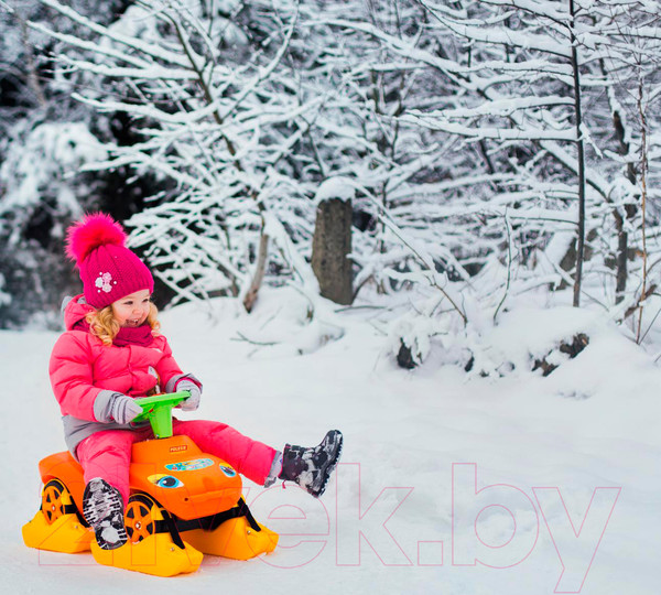 Изображение товара Каталка детская Полесье Мой любимый автомобиль / 44631 (оранжевый)