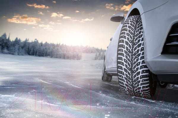 Изображение товара Зимняя шина Nokian Tyres Hakkapeliitta 9 225/55R17 101T (шипы)