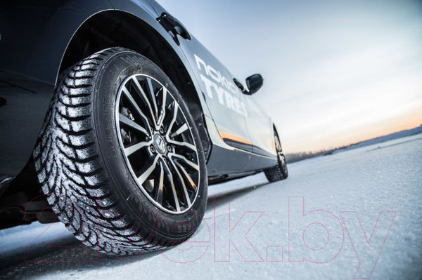 Изображение товара Зимняя шина Nokian Tyres Hakkapeliitta 9 225/55R17 101T (шипы)