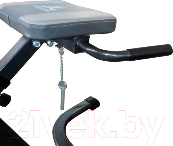 Изображение товара Гиперэкстензия DFC Z003